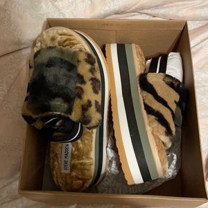 Steve Madden Leopard Alvaro slippers